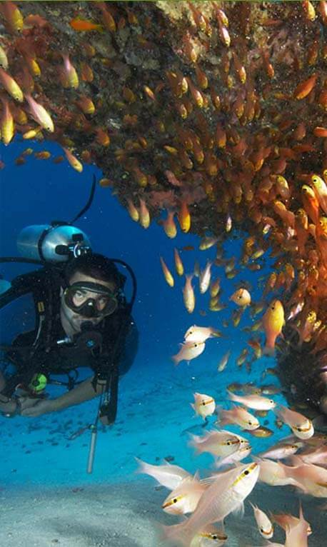 Coral Reef Exploration