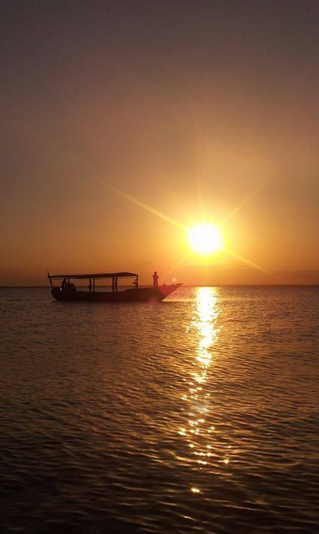 Dhow Excursions