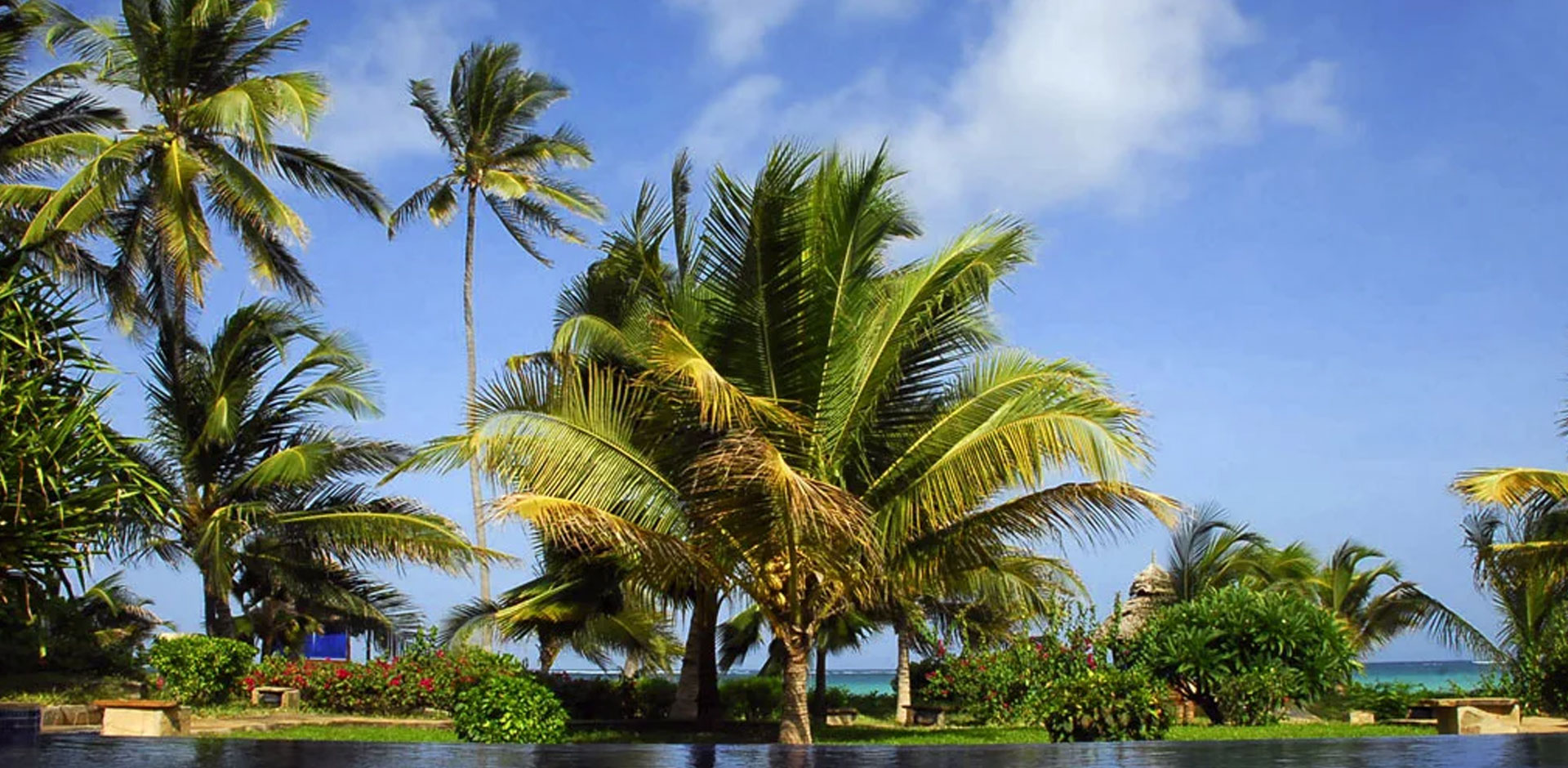 The Palms Zanzibar Feature on The Good Life Italia