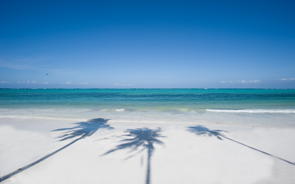Zanzibar Collection April 2023