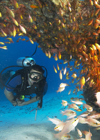 Coral Reef Exploration