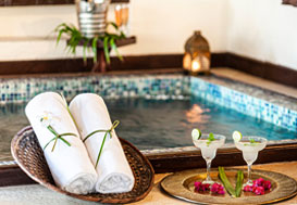 Spa pool
