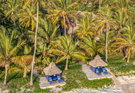 Aerial view of The Palms