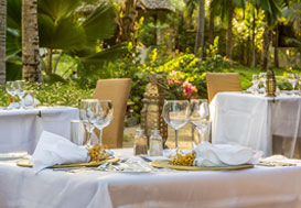 Dining setup