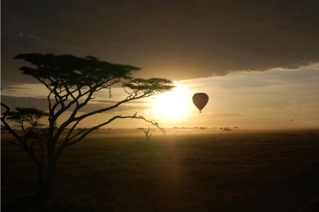  Hot air balloon ride in the Serengeti.