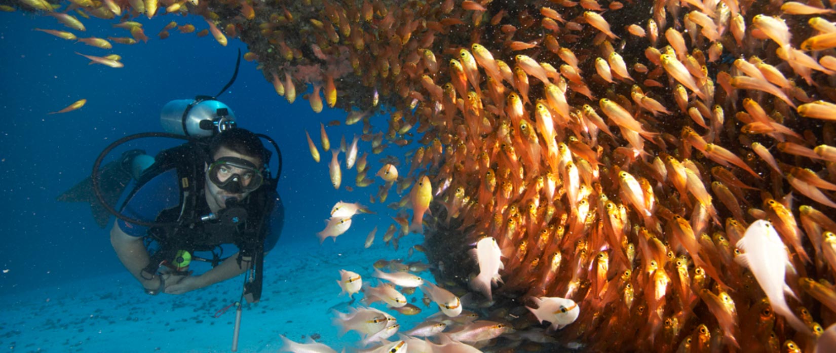 Coral Reef Exploration