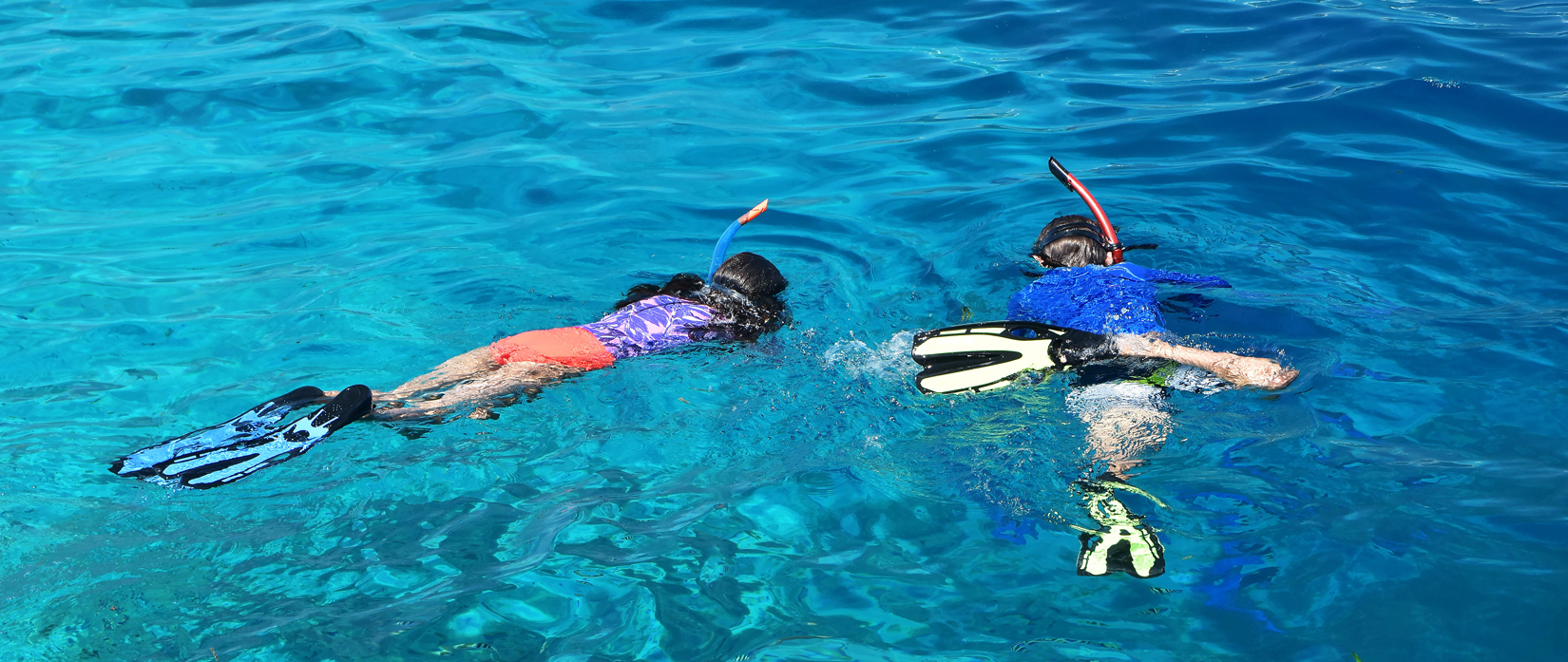 Snorkelling